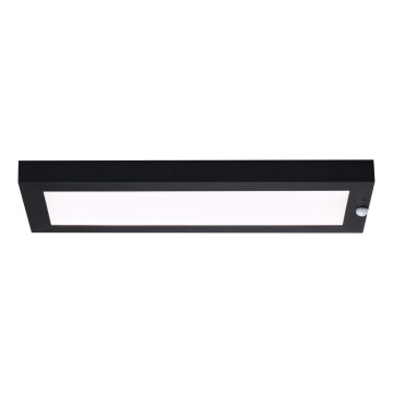 Paulmann 94256_1 - LED/10W IP44 Ulkokattovalo anturilla 230V