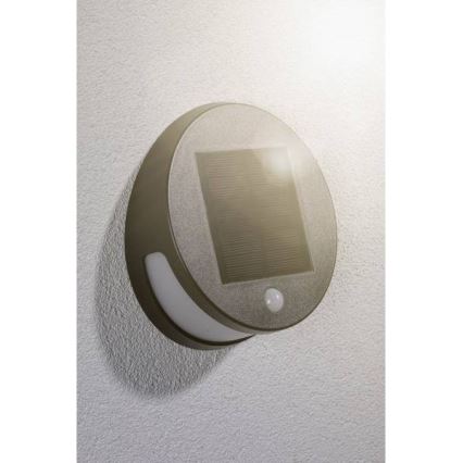 Paulmann 94265 - LED/3W IP44 Ulkoaurinkovalo anturilla HELENA 3,7V
