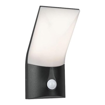 Paulmann 94402 - LED/10W IP44 Ulkovalo anturilla ADYA 230V