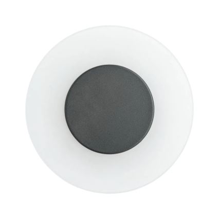 Paulmann 94409 - LED/4W IP44 Ulkoseinävalaisin CIRCEA 230V