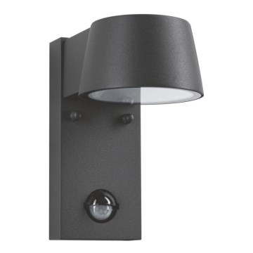 Paulmann 94453 - LED/6W IP44 Ulkoseinävalaisin anturilla CAPEA 230V