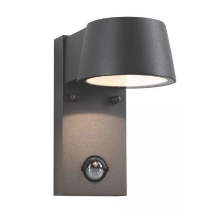 Paulmann 94453 - LED/6W IP44 Ulkoseinävalaisin anturilla CAPEA 230V