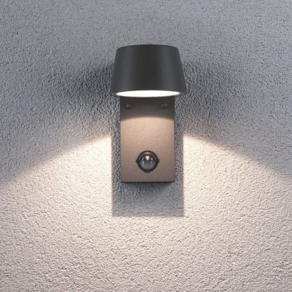 Paulmann 94453 - LED/6W IP44 Ulkoseinävalaisin anturilla CAPEA 230V