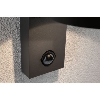 Paulmann 94453 - LED/6W IP44 Ulkoseinävalaisin anturilla CAPEA 230V