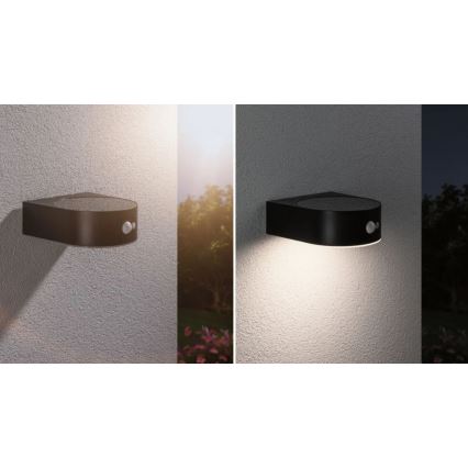 Paulmann 94570 - LED/5,5W IP44 Seinävalaisin anturilla EILEEN 3,7V 2000 mAh