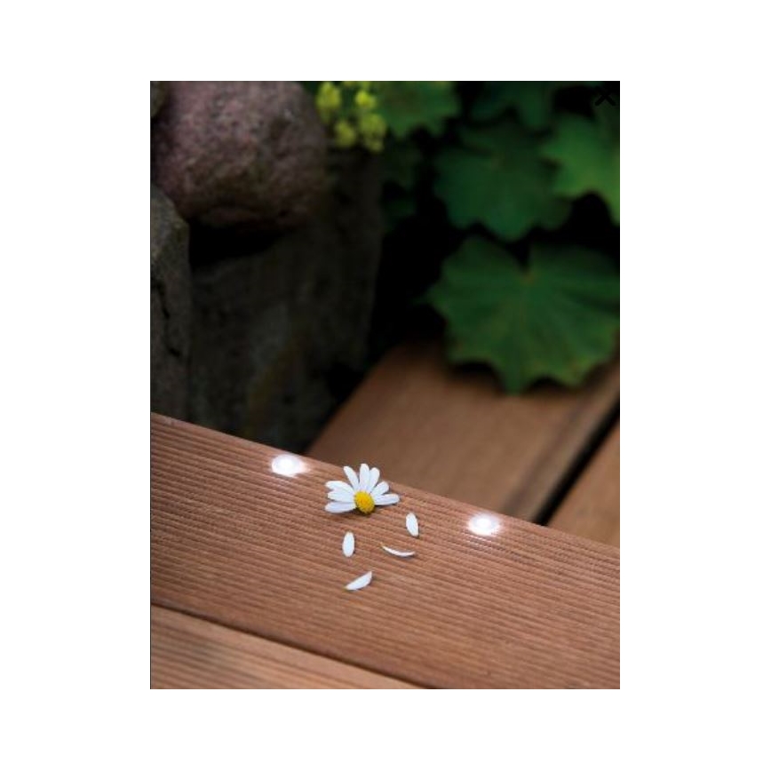 Paulmann 98892 - Laajennus SETTI 5X LED/0,16W IP67 upotettava valo ulos MICRO 12V