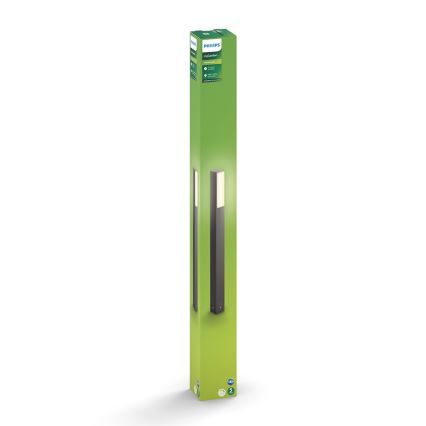 Philips - LED-ulkolamppu 2xLED/4,5W/230V IP44
