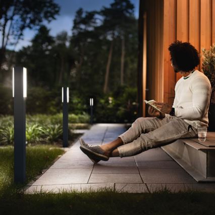 Philips - Ulkopollarivalo 2xLED/4,5W IP44
