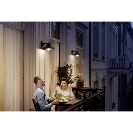 Philips 17381/30/PN - Ulkoseinävalaisin COMORANT 1xE27/42W/230V IP44