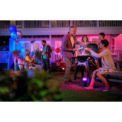 Philips - Laajennussarja LED RGB ulko kohdevalo Hue LILY LED/8W/230V IP65