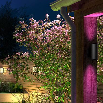 Philips - LED RGB Ulkovalo Hue APPEAR 2xLED/8W/230V IP44