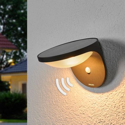 Philips - LED-aurinkovalo sensorilla 1xLED/1W/3,7V IP44