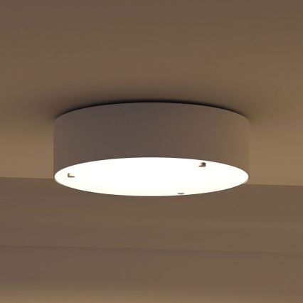 Philips - Kattovalo 2xE27/23W/230V