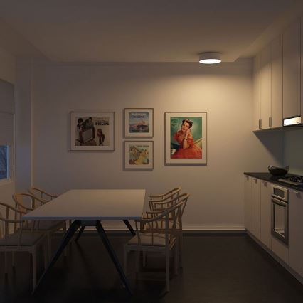 Philips - Kattovalo 2xE27/23W/230V