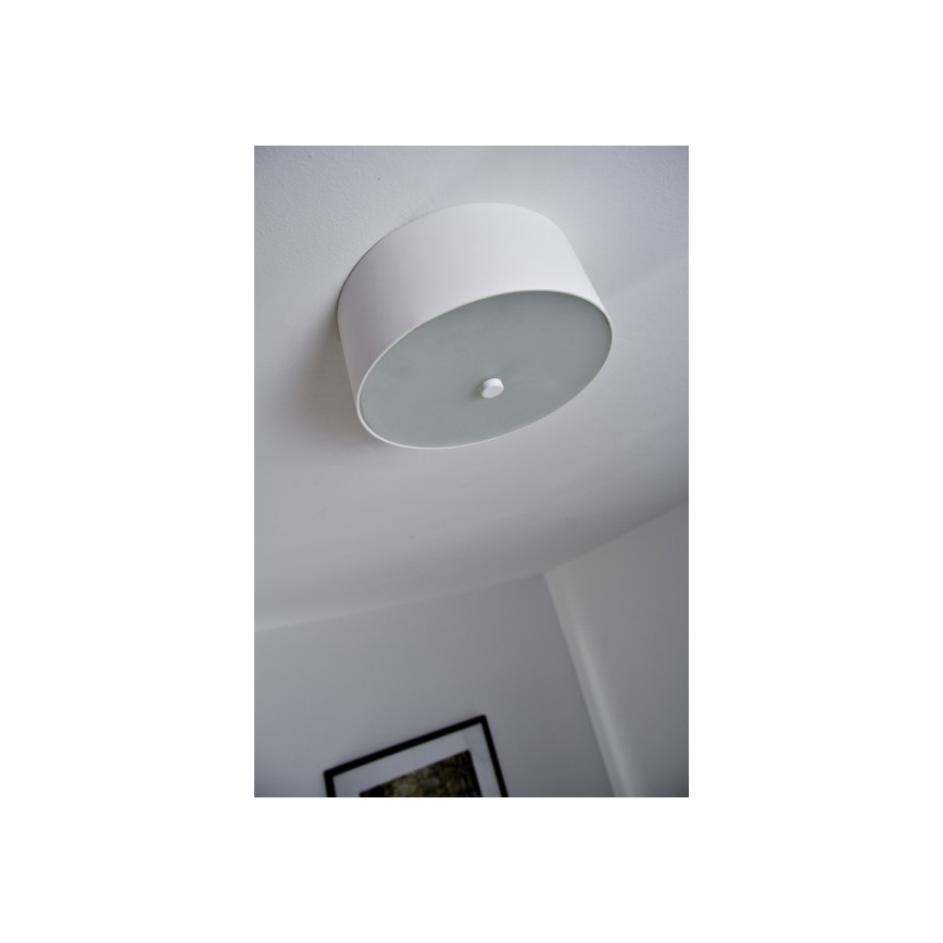Philips 40832/31/16 - Himmennettävä kattovalaisin MYLIVING SEQUENS LED/7,5W/230V