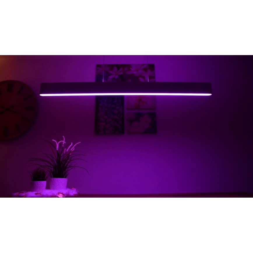 Philips – LED-kattokruunu on a String Hue ENSIS White And Colour Ambiance 2×LED/39W/230V