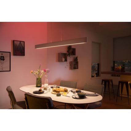 Philips – LED-kattokruunu on a String Hue ENSIS White And Colour Ambiance 2×LED/39W/230V