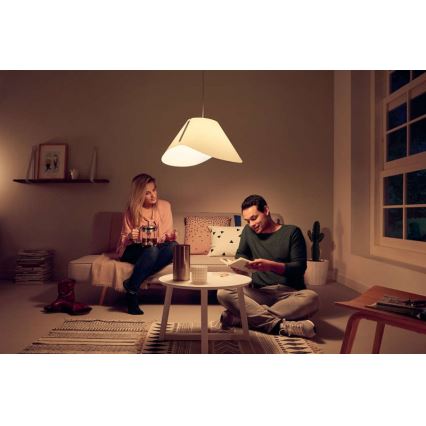 Philips - Riippukattovalaisin E27/60W/230V