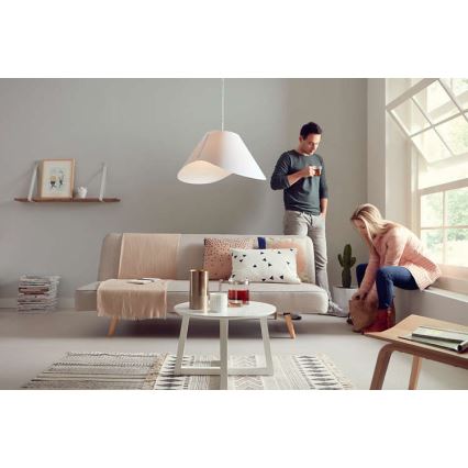 Philips - Riippukattovalaisin E27/60W/230V