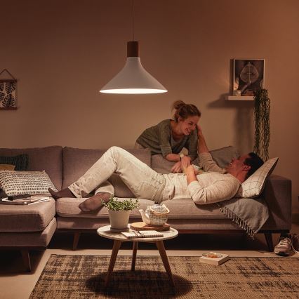 Philips - Riippukattovalaisin E27/60W/230V