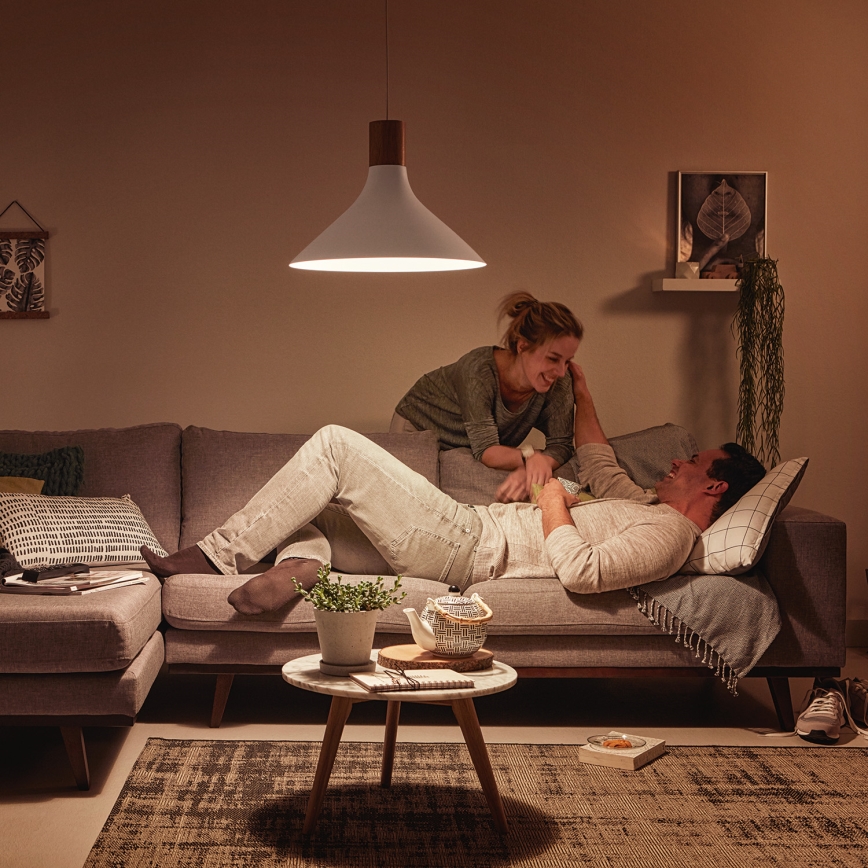 Philips - Riippukattovalaisin E27/60W/230V
