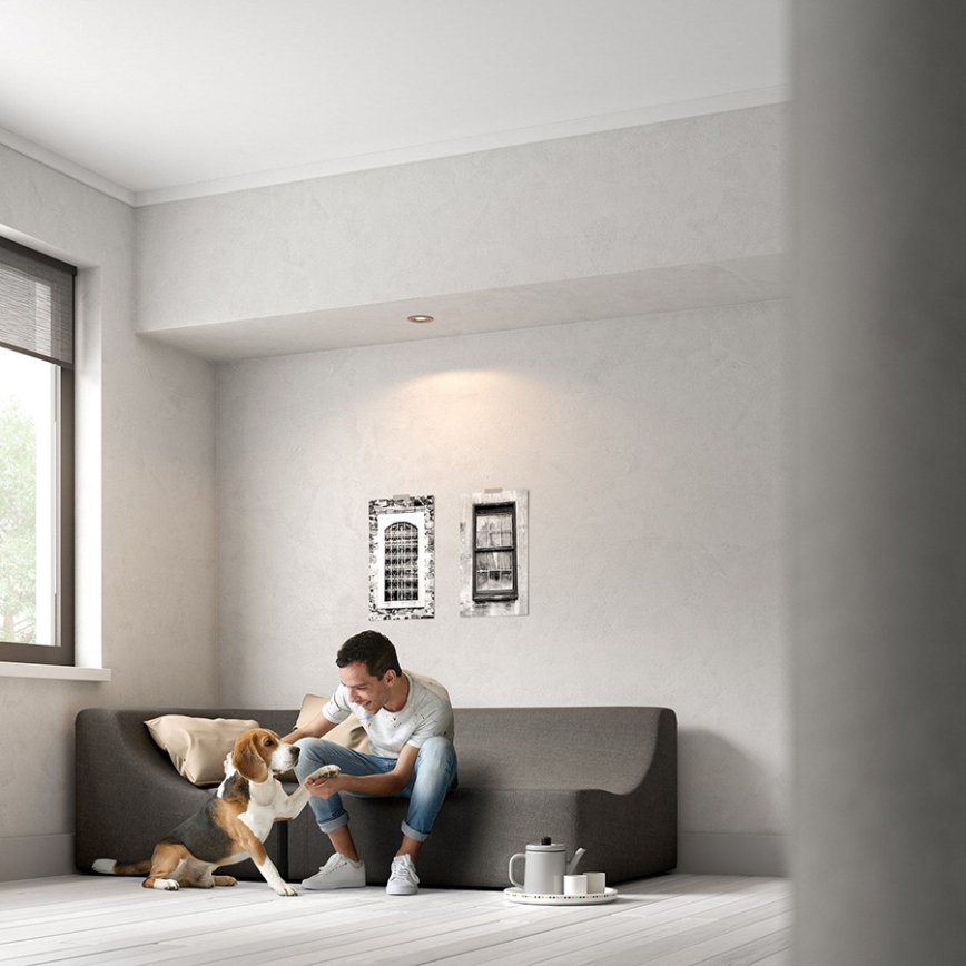 Philips - Upotettu valo 1xGU10/5,5W/230V