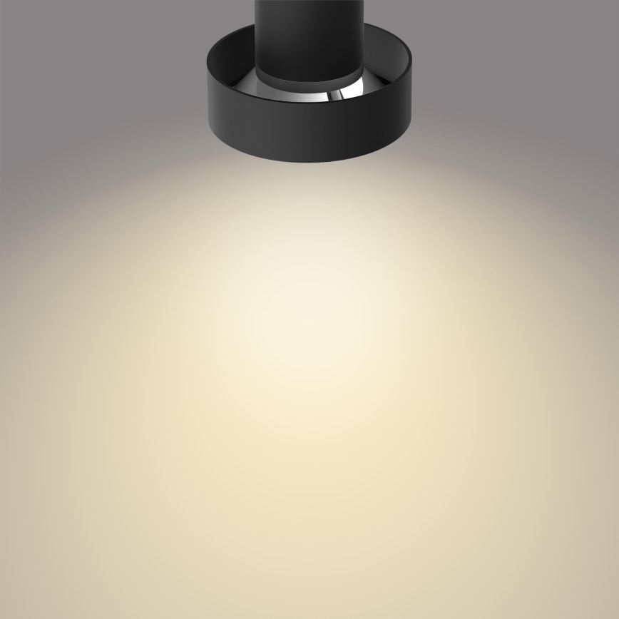 Philips 50602/30/P0 - Himmennettävä LED-kohdevalo BUKKO 2xLED/4,5W/230V