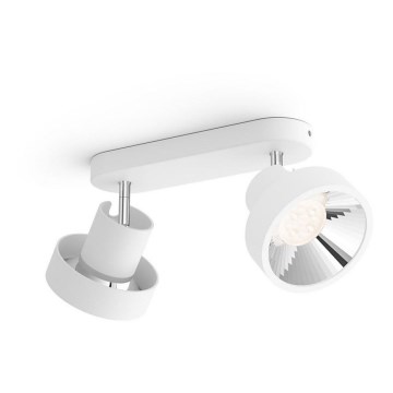 Philips 50602/31/P0 - LED-kohdevalaisin BUKKO 2xLED/4,5W/230V