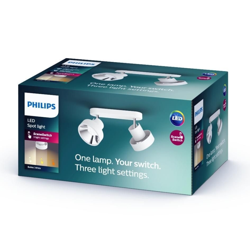 Philips 50602/31/P0 - LED-kohdevalaisin BUKKO 2xLED/4,5W/230V