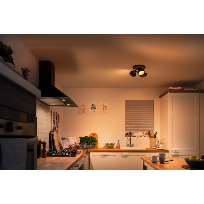 Philips 50603/30/P0 - Himmennettävä LED-kohdevalo BUKKO 3xLED/4,3W/230V