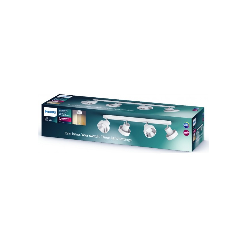 Philips 50604/31/P0 - LED-kohdevalaisin BUKKO 4xLED/4,3W/230V