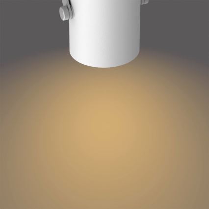 Philips - Himmennettävä LED-kohdevalo 2xLED/4.5W/230V