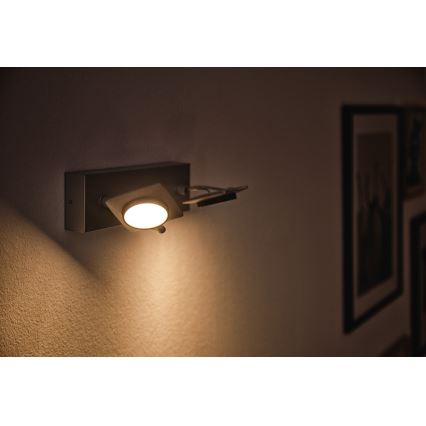 Philips 53192/48/P0 - LED-kohdevalaisin MILLENNIUM 2xLED/4,5W/230V