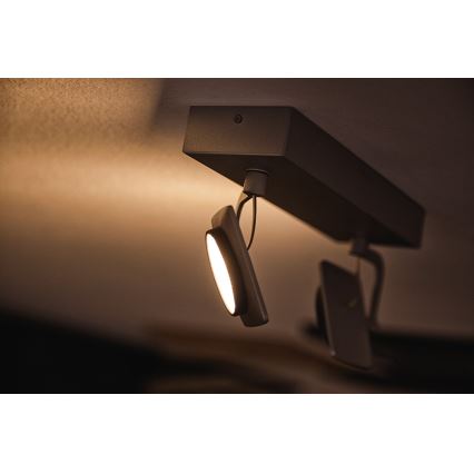 Philips 53192/48/P0 - LED-kohdevalaisin MILLENNIUM 2xLED/4,5W/230V