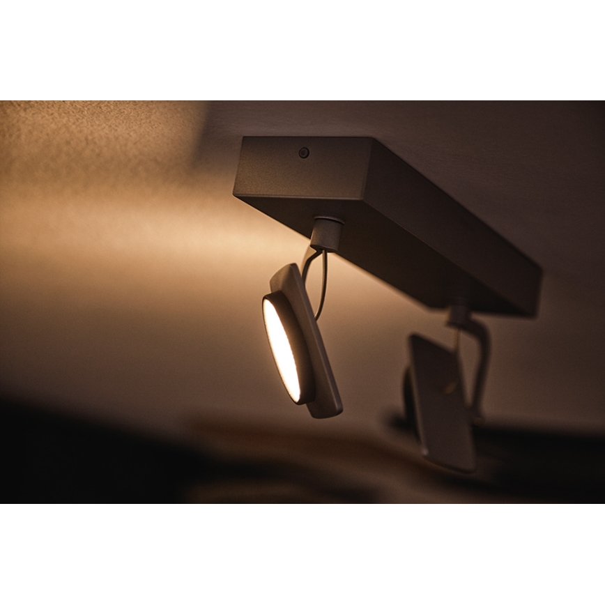 Philips 53192/48/P0 - LED-kohdevalaisin MILLENNIUM 2xLED/4,5W/230V