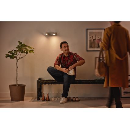 Philips 53192/48/P0 - LED-kohdevalaisin MILLENNIUM 2xLED/4,5W/230V
