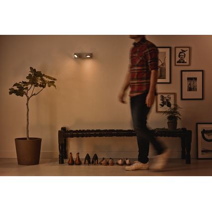 Philips 53192/48/P0 - LED-kohdevalaisin MILLENNIUM 2xLED/4,5W/230V
