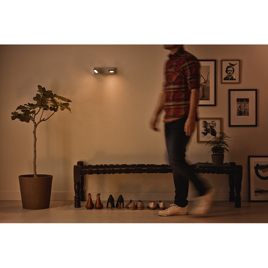 Philips 53192/48/P0 - LED-kohdevalaisin MILLENNIUM 2xLED/4,5W/230V