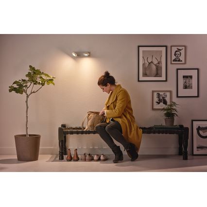 Philips 53192/48/P0 - LED-kohdevalaisin MILLENNIUM 2xLED/4,5W/230V