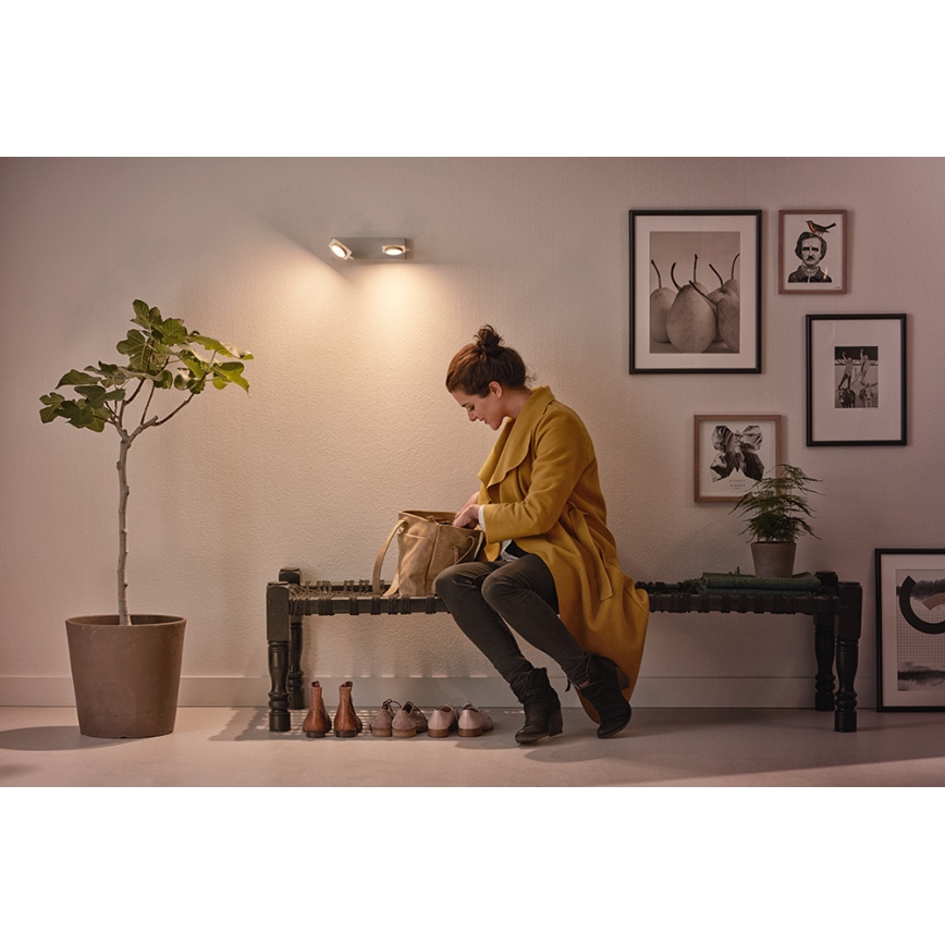 Philips 53192/48/P0 - LED-kohdevalaisin MILLENNIUM 2xLED/4,5W/230V