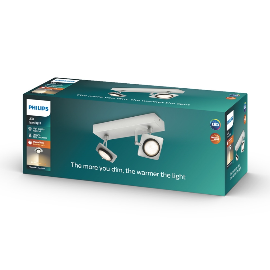 Philips 53192/48/P0 - LED-kohdevalaisin MILLENNIUM 2xLED/4,5W/230V