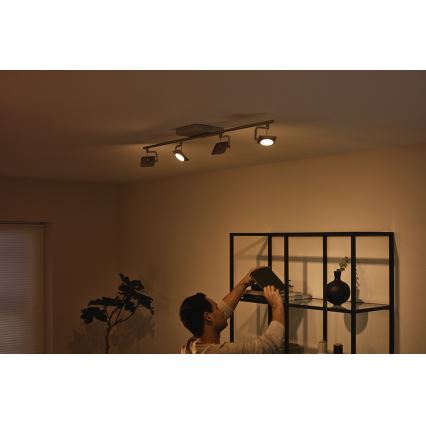Philips 53194/48/P0 - LED-kohdevalaisin MILLENNIUM 4xLED/4,5W/230V