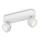 Philips 53272/31/16 - LED-kohdevalaisin RIMUS 2xLED/3W/230V