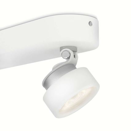 Philips 53272/31/16 - LED-kohdevalaisin RIMUS 2xLED/3W/230V