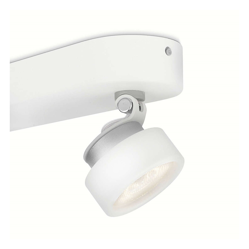 Philips 53272/31/16 - LED-kohdevalaisin RIMUS 2xLED/3W/230V