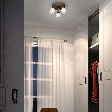 Philips - LED-kohdevalaisin 3xLED/4W/230V