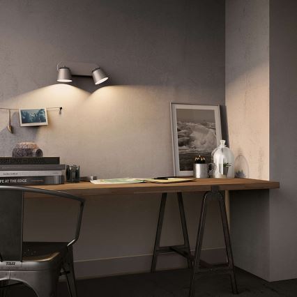 Philips - LED-kohdevalaisin 2xLED/4W/230V