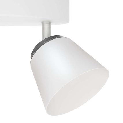 Philips - LED-kohdevalaisin 4xLED/4W/230V