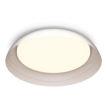 Philips - Himmennettävä LED-kattovalaisin FLETA SCENE SWITCH LED/10W/230V 2700K läpinäkyvä