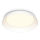 Philips - Himmennettävä LED-kattovalaisin FLETA SCENE SWITCH LED/10W/230V 2700K valkoinen